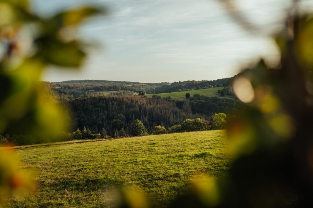 Peaceful rural scene with rolling hills and soft evening light.